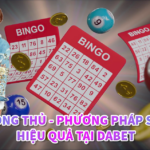 Cầu song thủ – Phương pháp soi cầu hiệu quả tại Dabet 