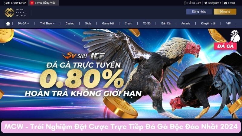 Tổng quan về sân chơi cược trực tiếp đá gà MCW