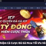 MCW – Trải Nghiệm Cá Cược Đá Gà Mcw Tối Ưu Và Đầy Kịch Tính